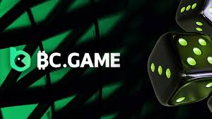 Complete Guide to BC.Game Registration 14 Complete Guide to BC.Game Registration 14